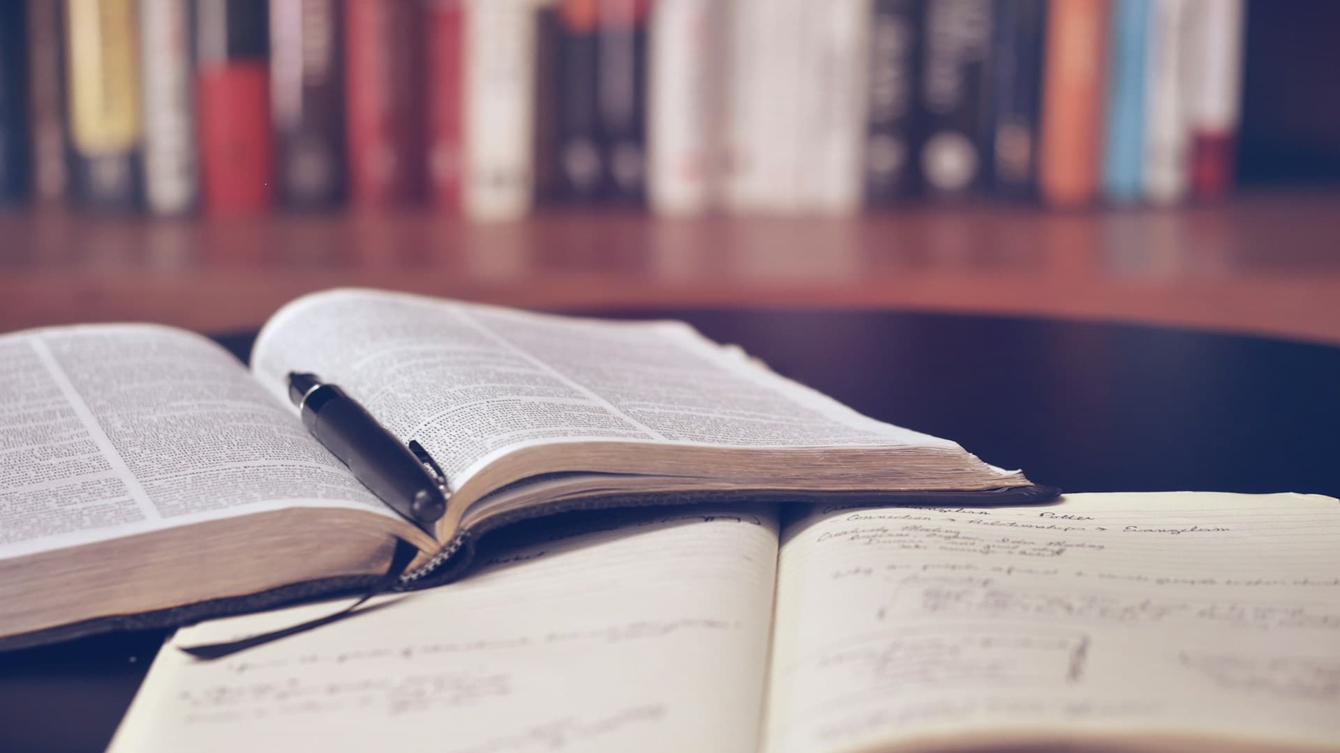 Translation Services