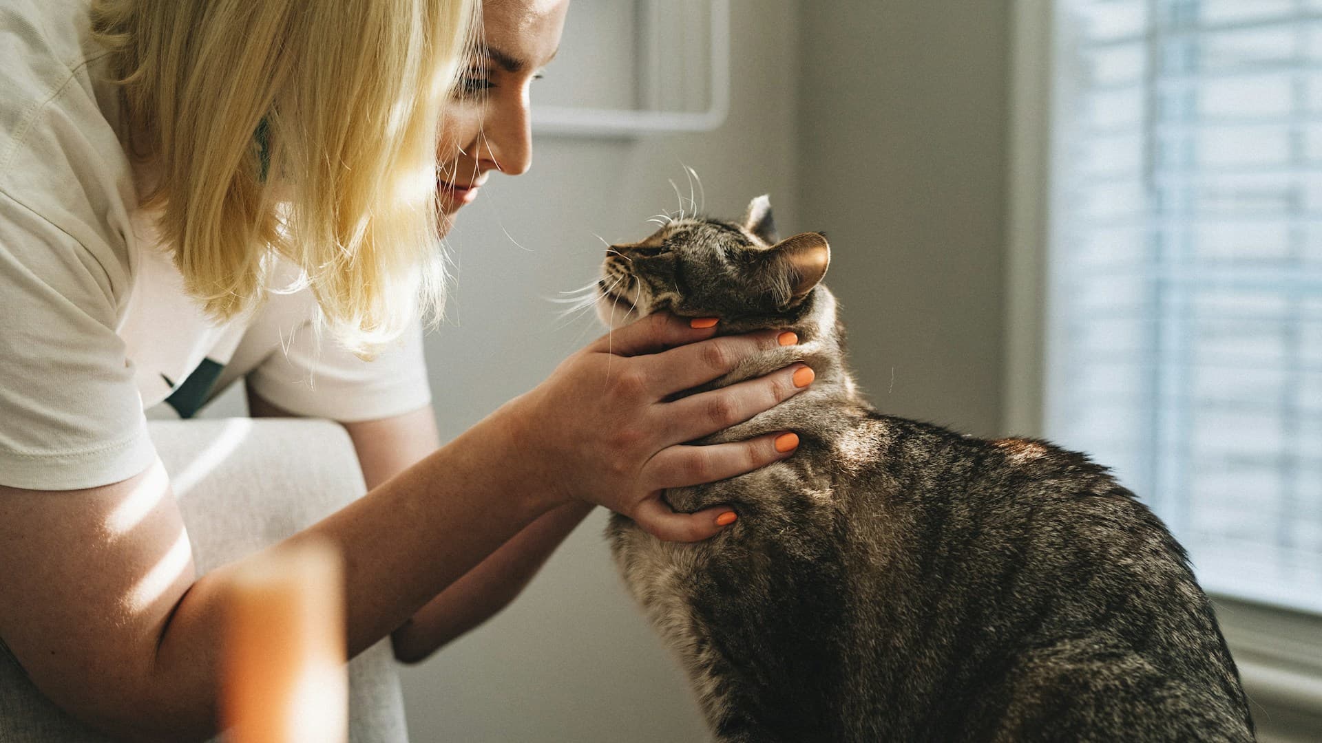 Veterinary Clinics